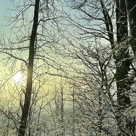 The Grey At Bosco * San Cassiano (Badia)